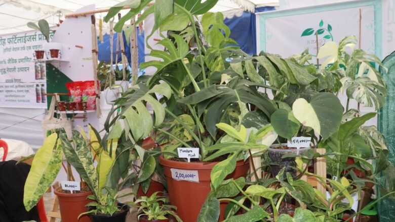 ७२ लाखको कारोबारसंगै दोस्रो फ्लोरा एक्स्पो सम्पन्न, फोटो फिचरसहित