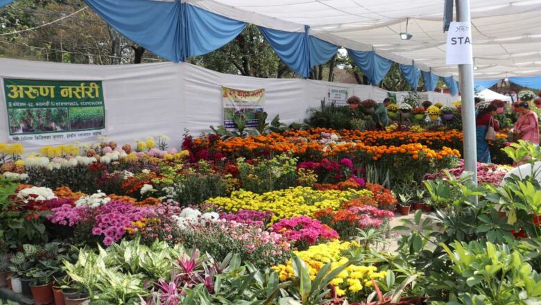 ‘तिहार फ्लोरा एक्स्पो–२०८१’ सुरु